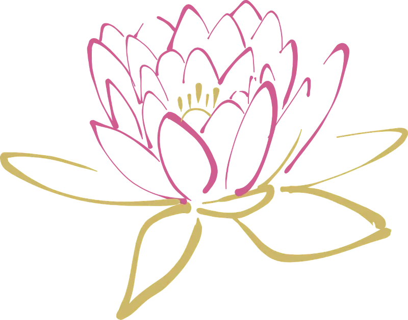 lotus-800x629 Téléconsultation et psychothérapie en ligne