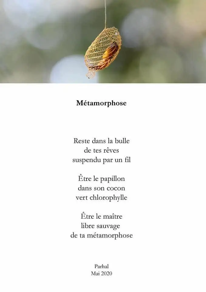 premier contact