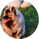 Émilie M. profile picture